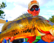 Fishing Tour Ft. Lauderdale, Everglades Holiday Park - 4 Hours