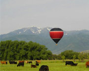 Hot Air Balloon Ride, Park City - 1 Hour Flight